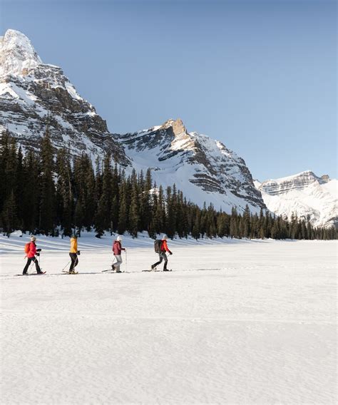 lake louise webcams|Weather & Webcams in Banff and Lake Louise